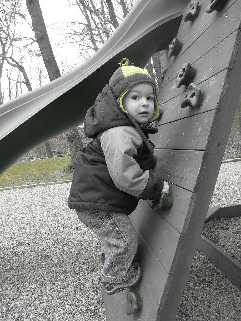 IMG_8240.jpg - Backyard adventures