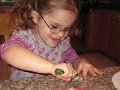 IMG_8166