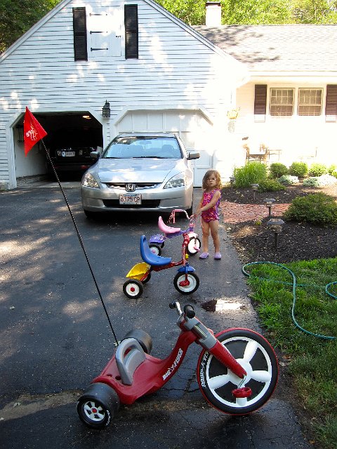 IMG_0895.jpg - (It's just a good excuse to do something with water on this hot day.)