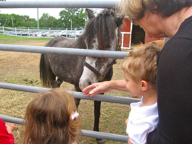 IMG_0033.jpg - During the last (last one until fall) Little Bookworms Storytime, we got to visit with some ponies.