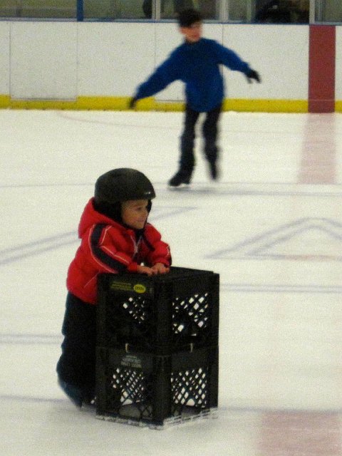 IMG_2994.jpg -                                