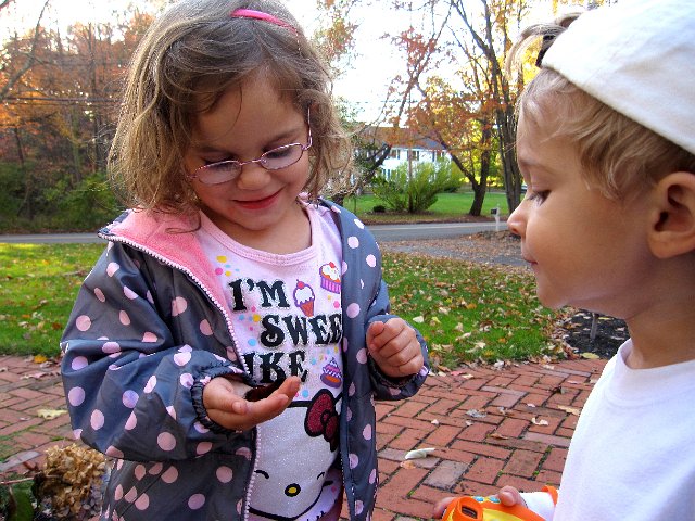 IMG_2553.jpg -                                