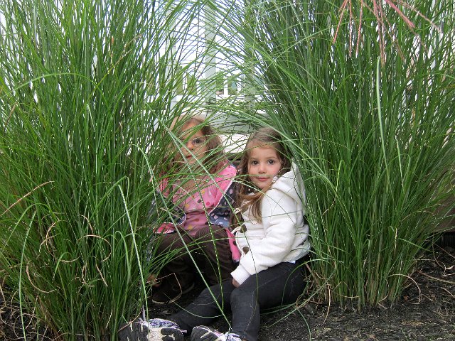 IMG_5524.jpg -                                
