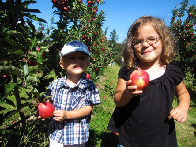 IMG_1978.jpg - "Hmmm, I think this is a Gala apple and the orchard guy said it was great for kids."