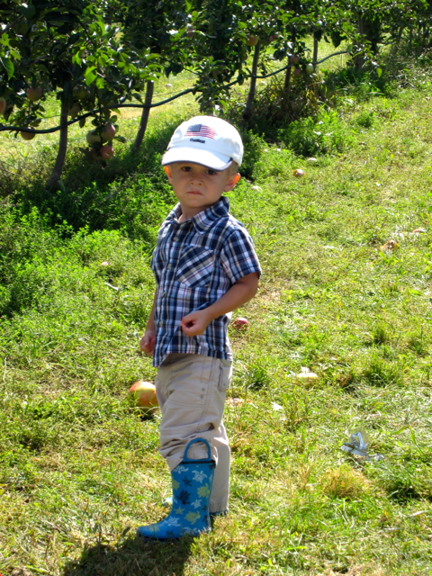 IMG_2024.jpg - Nathan looks like he's saying, "C'mon, Mom, there's serious picking to be done, stop fooling around."