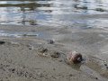 IMG_1920
