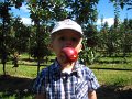 IMG_1984