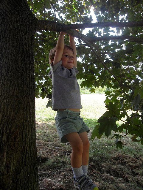 IMG_7528.jpg - Our little monkey!