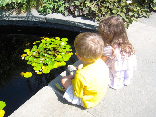 IMG_7741.jpg - I think the kids have found the same frog who chimed in during our ceremony.