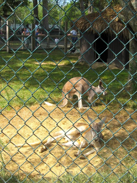 IMG_7864.jpg -                                