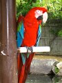 IMG_7838