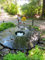 IMG_7871