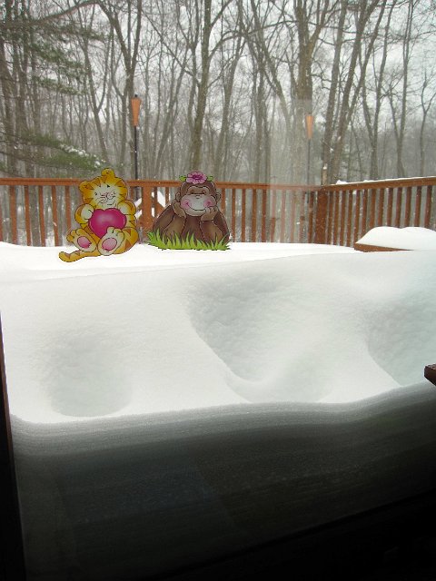 IMG_4172.jpg - Catherine's Valentine's Day window clings appear to be hanging out on the piles of snow on the deck.
