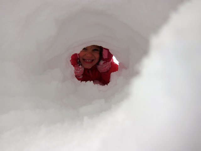 IMG_6648.jpg - Peek a boo!