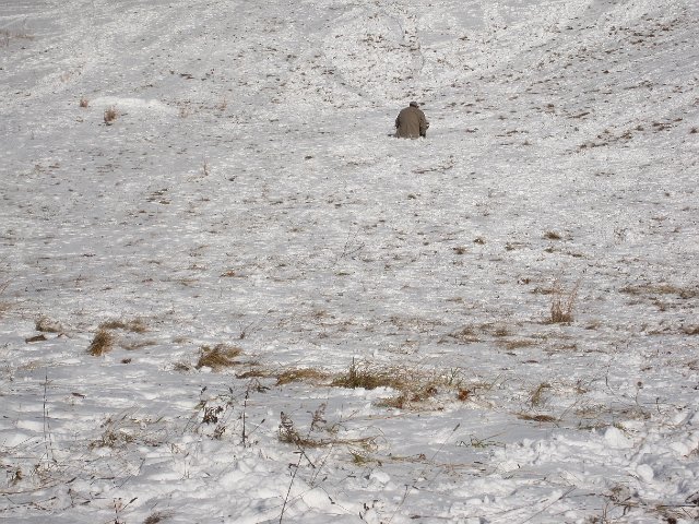 IMG_3659.jpg - However, Daddy tried out her little disc .. ended up backwards and snow down his pants!!