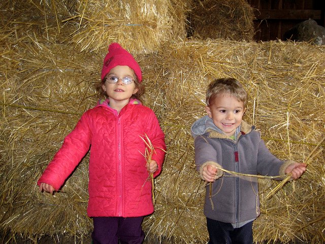 IMG_3867.jpg - I tried to get them to pose in front of the stack of straw (for Grandpop).  All they wanted to do was pull out all the straw ... I told them that they wouldn't like it if a cow came and took their pillow, so they shouldn't be trying to take the cow's bedding either!!