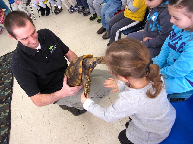 IMG_3923.jpg - The show started off nicely with a bunny, an old tortoise, 2 snapping turtle babies and a flying squirrel.