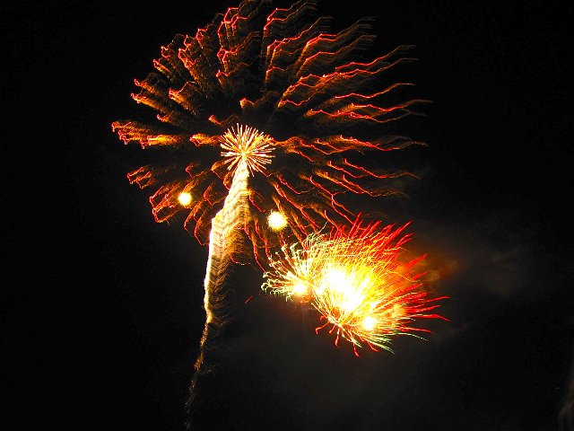 IMG_7101.jpg -                                