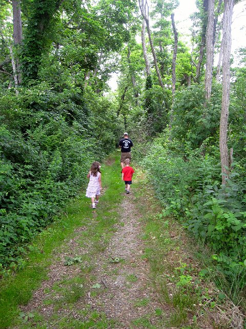 IMG_6995.jpg - From that beautiful spot above the ocean, there is a trail to lead you to the beach area.