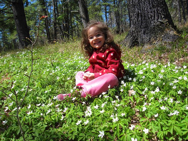 IMG_5583.jpg - Flower picking ...