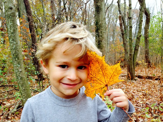 IMG_4936.jpg - "Hold that leaf up to your face, it's as big as your head!"  What a stud!