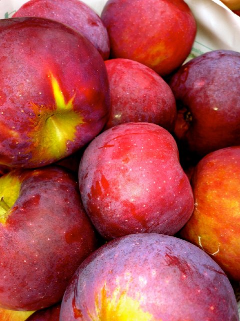 IMG_4640.jpg - The apples were huge this season (and delicious).