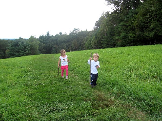 IMG_8138.jpg - Hiking and pinecone gathering is serious business.