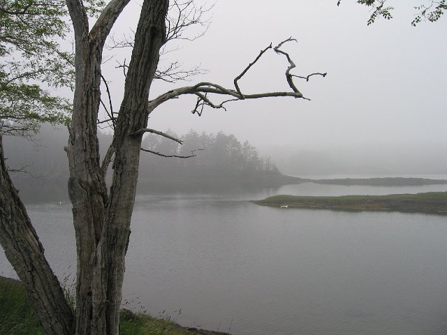 IMG_6681.JPG