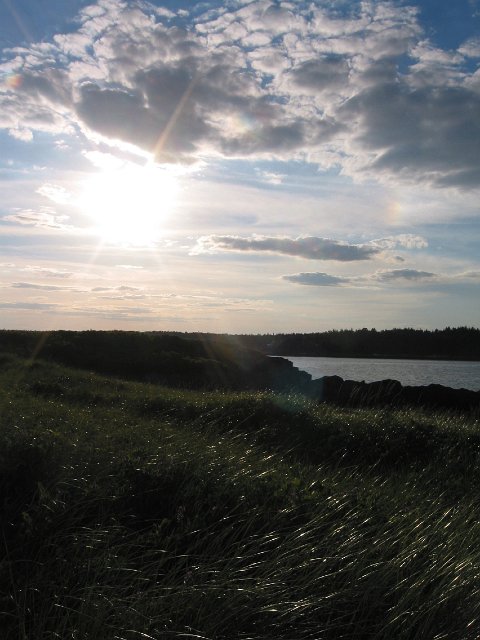 IMG_6990.JPG