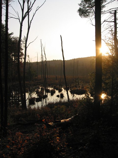 IMG_8470.JPG
