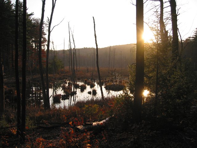 IMG_8471.JPG