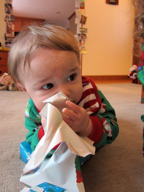 IMG_2815b.jpg - What??  The paper is not supposed to be put in my mouth?!?