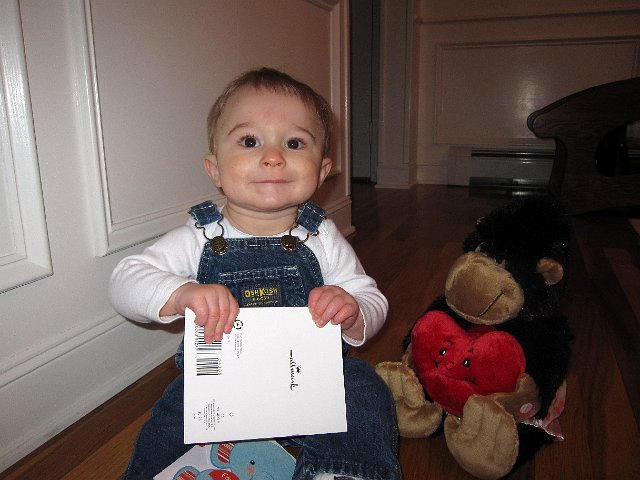IMG_2984b.jpg - Nathan hanging out with the signing gorilla and reviewing his Valentine's Day cards.  (His first Valentine's Day!)