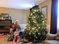 IMG_6141