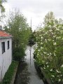 edam06