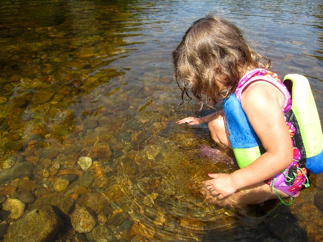 IMG_1723.jpg - Catherine was trying to catch the many minnows.